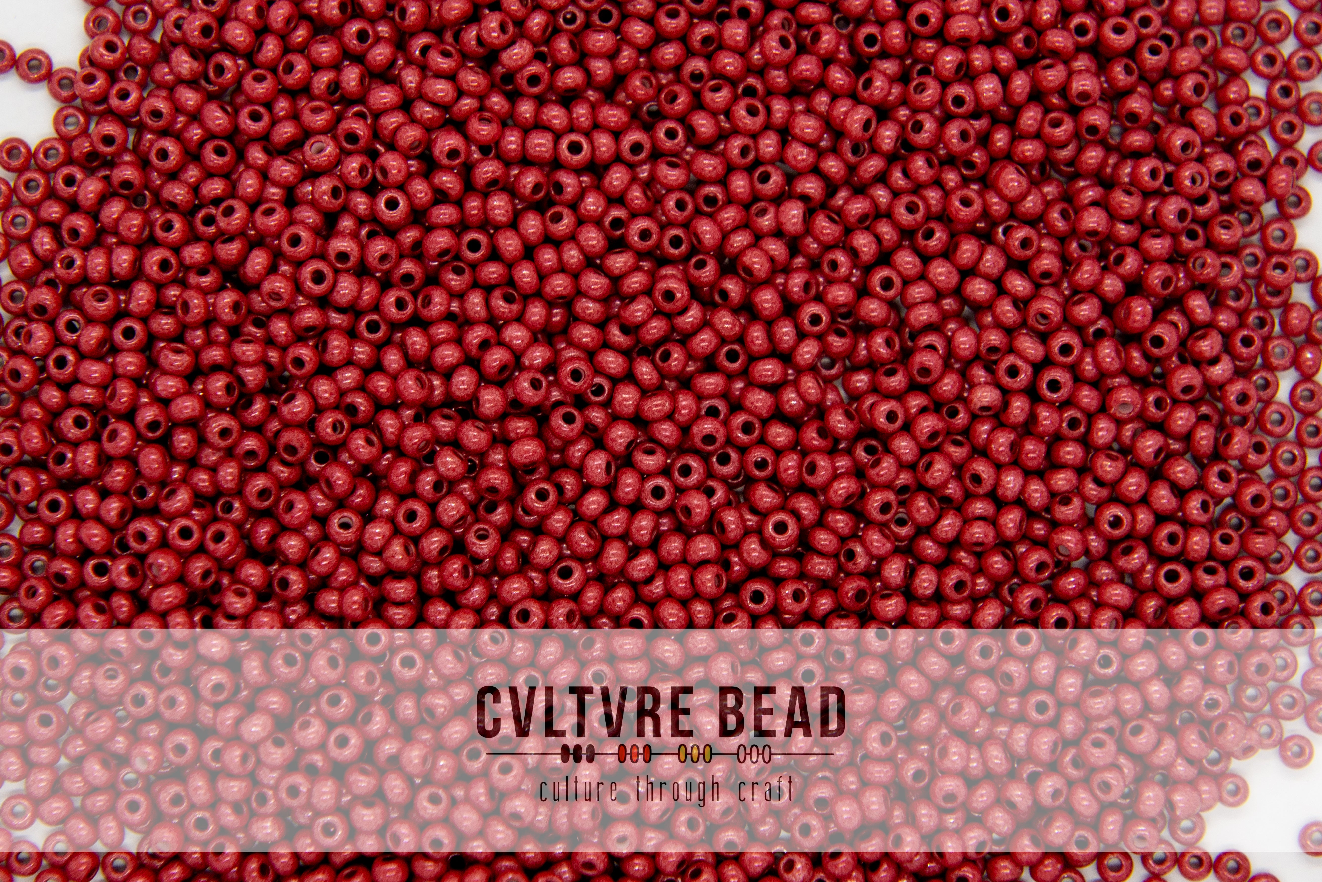 Czech Seedbead 10/0 Terra Intensive Brown 20g